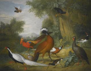Tobias Stranover - A Great Curassow, Silver Pheasant, Golden Pheasant And Other Birds In A Landscape