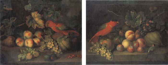 Tobias Stranover - Natures Mortes Aux Perroquets, Fruits Et Oiseaux