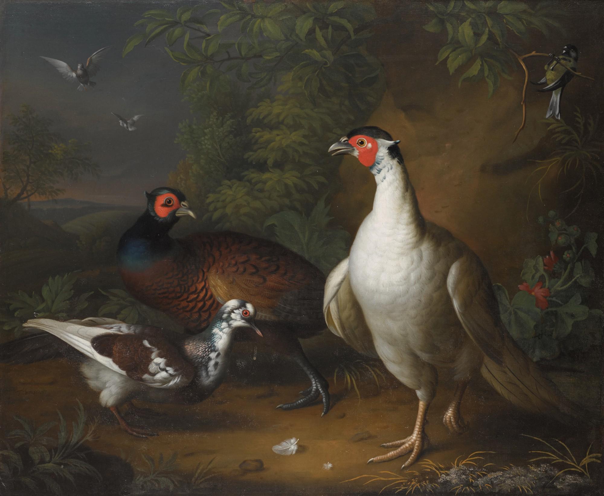 Tobias Stranover - Pheasants, Doves And A Great Tit In A Landscape Setting