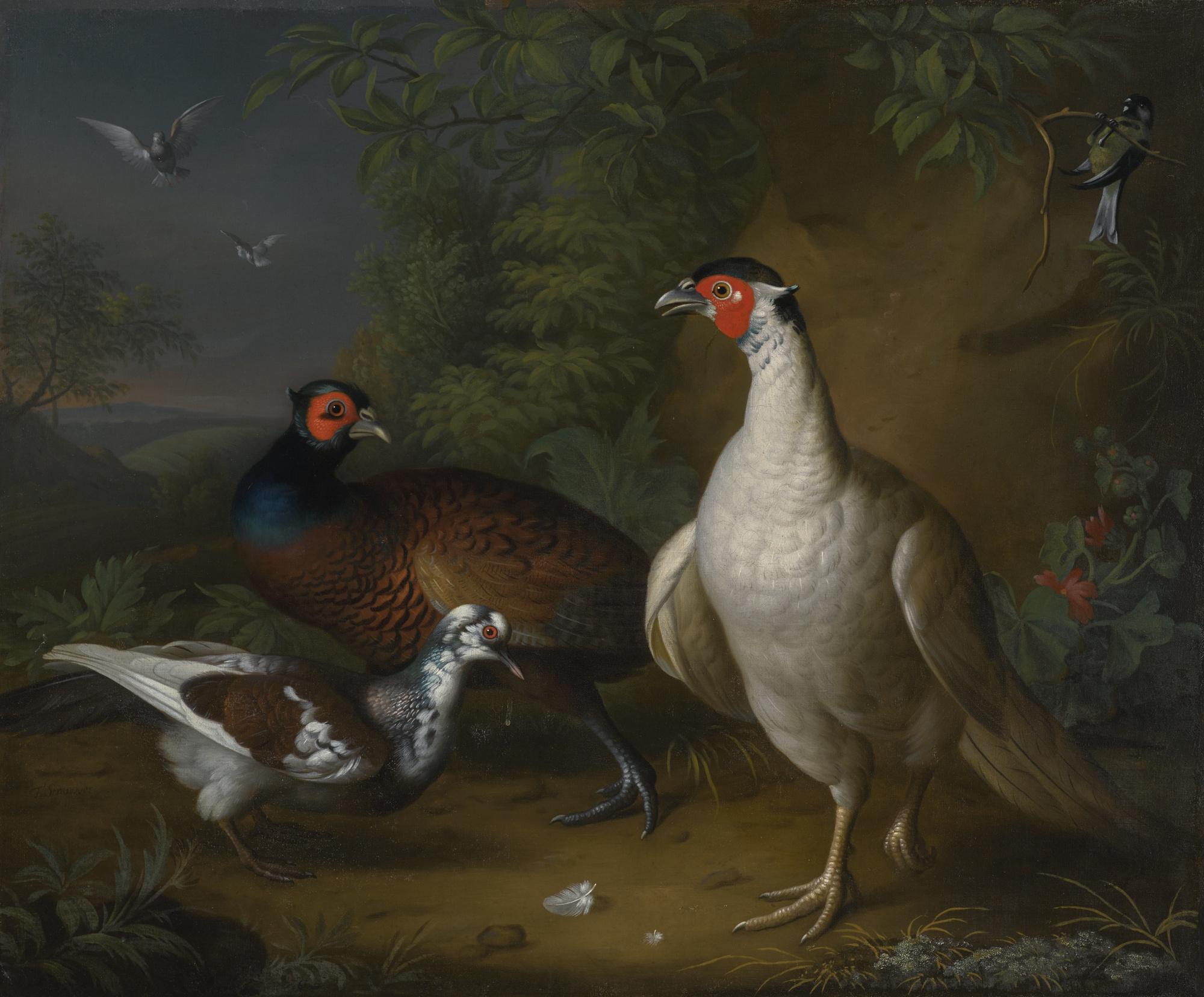 Tobias Stranover - Pheasants, Doves And A Great Tit In A Landscape Setting