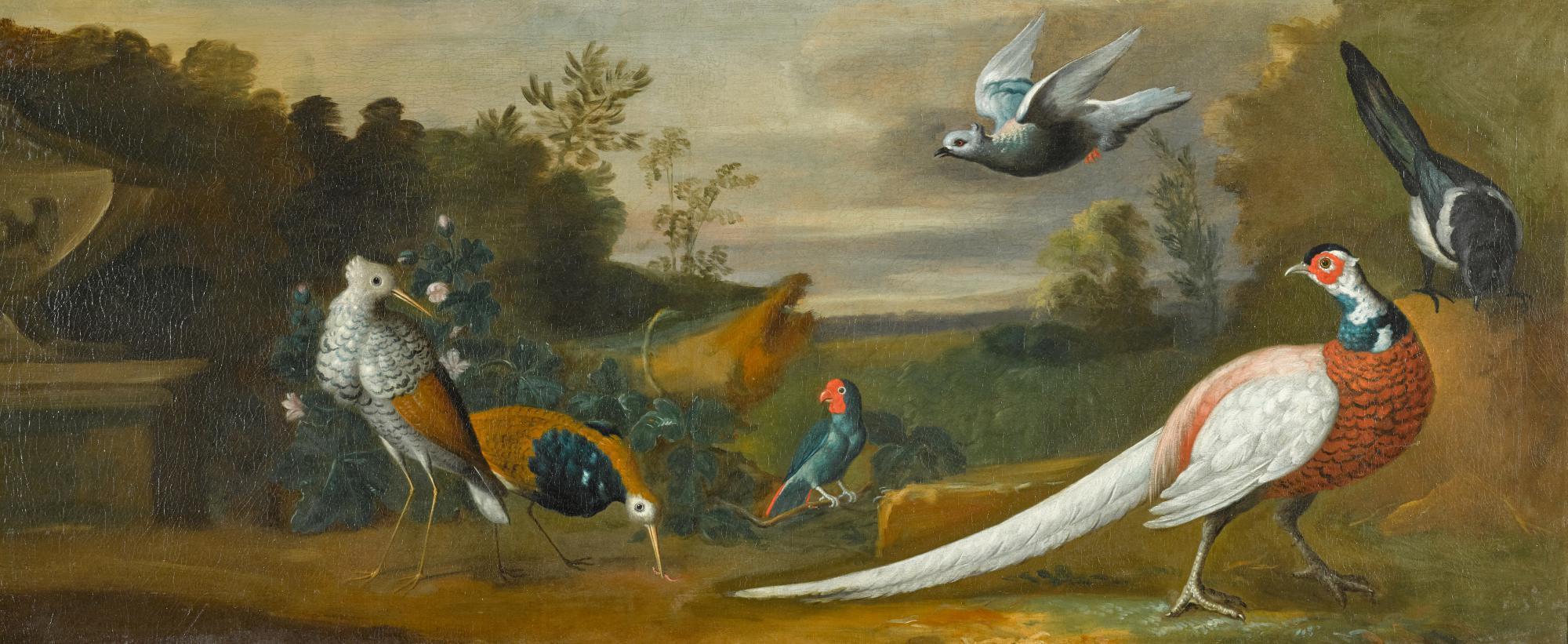Tobias Stranover - Two Ruffs, A Parakeet, A Pheasant, A Magpie And A Pigeon On A Stone Wall In A Park