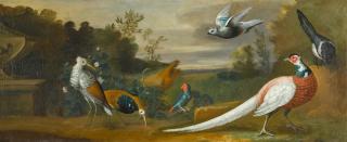 Tobias Stranover - Two Ruffs, A Parakeet, A Pheasant, A Magpie And A Pigeon On A Stone Wall In A Park