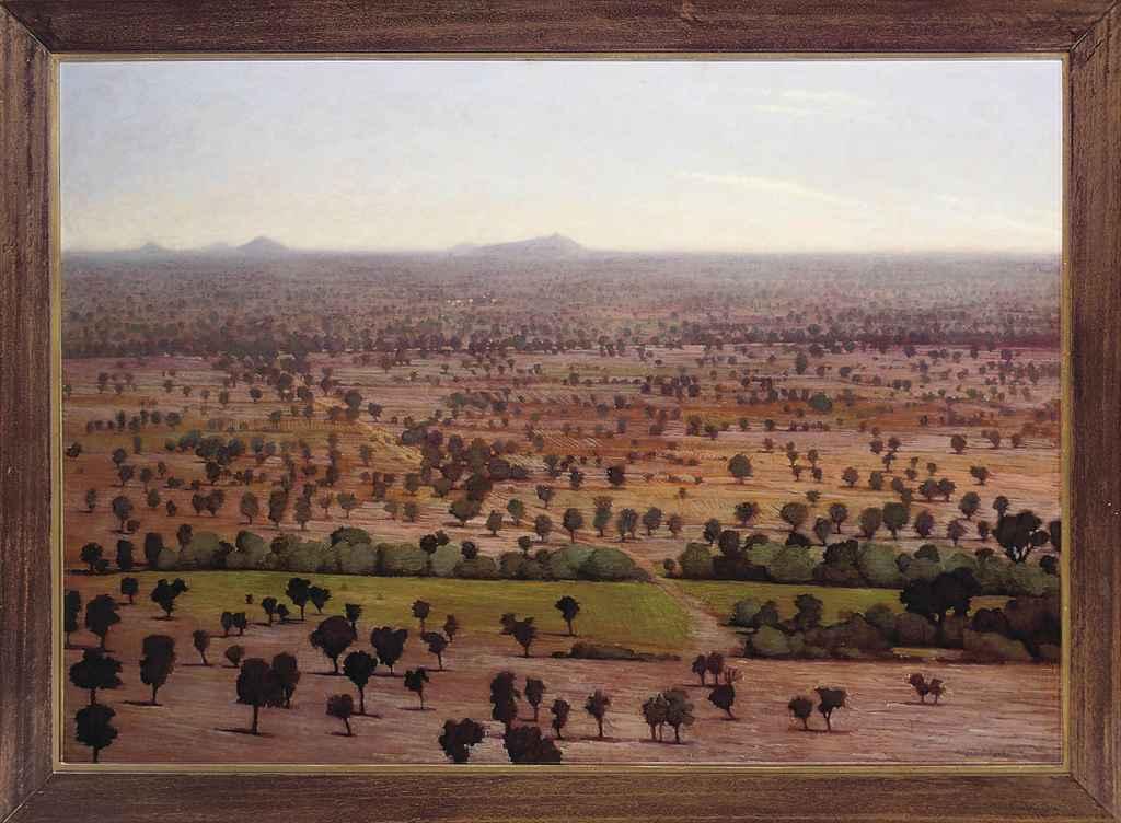 Tobit Roche - Rajasthan landscape