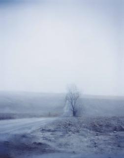 Todd Hido - Untitled #5157, 2006