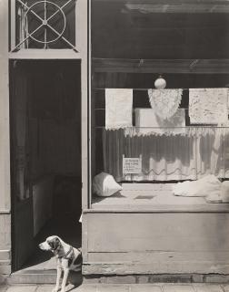 Todd Webb - Rue Canettes, Paris