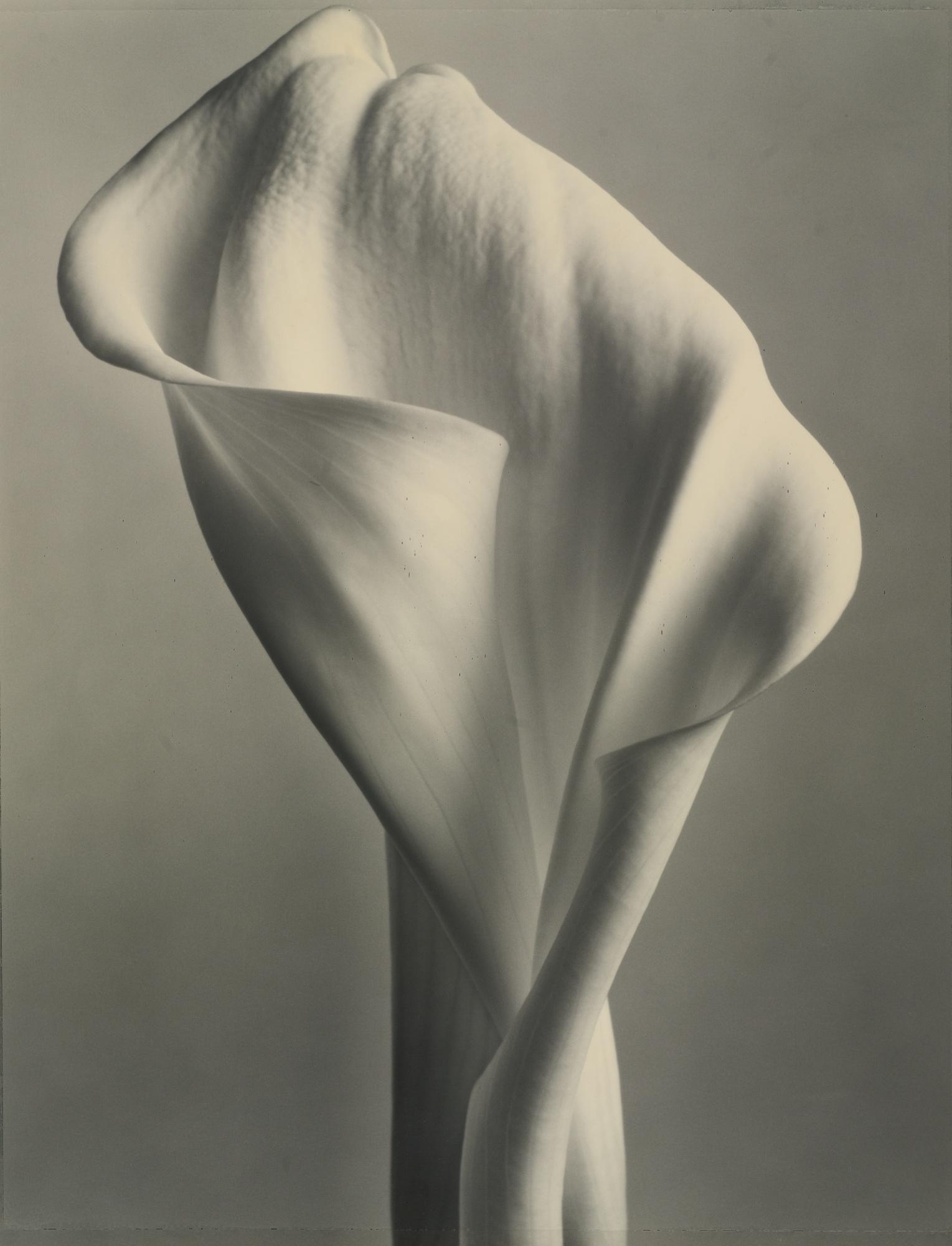 Tom Baril - Selected Images