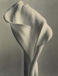 Tom Baril - Selected Images