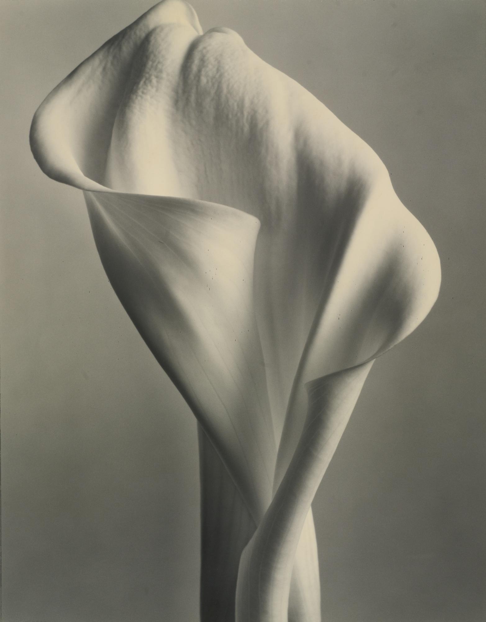 Tom Baril - Selected Images