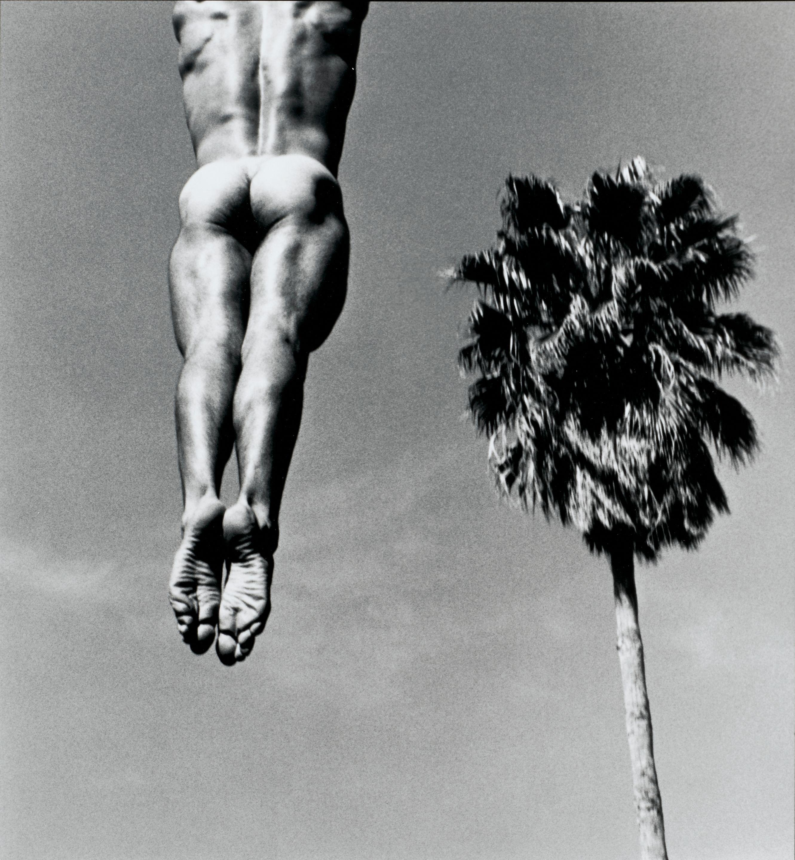 Tom Bianchi - Nude Study