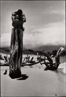 Tom Bianchi - Untitled