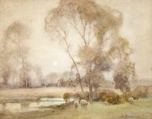 Tom Campbell - Sheep grazing by moonlight