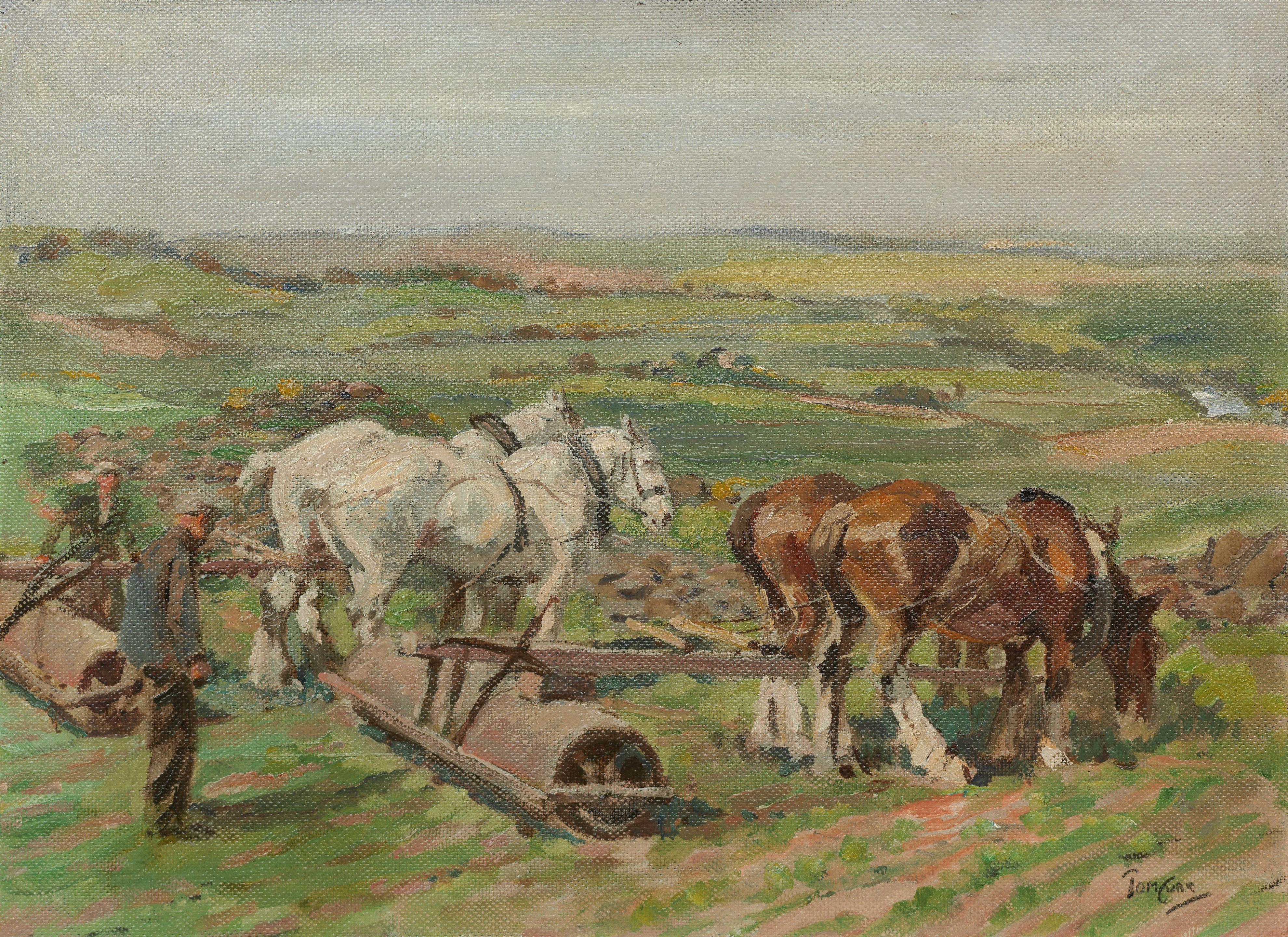 Tom Curr - Rolling corn, Bankhead