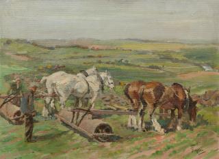 Tom Curr - Rolling corn, Bankhead