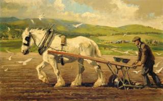 Tom Curr - Sowing turnips, Lochside