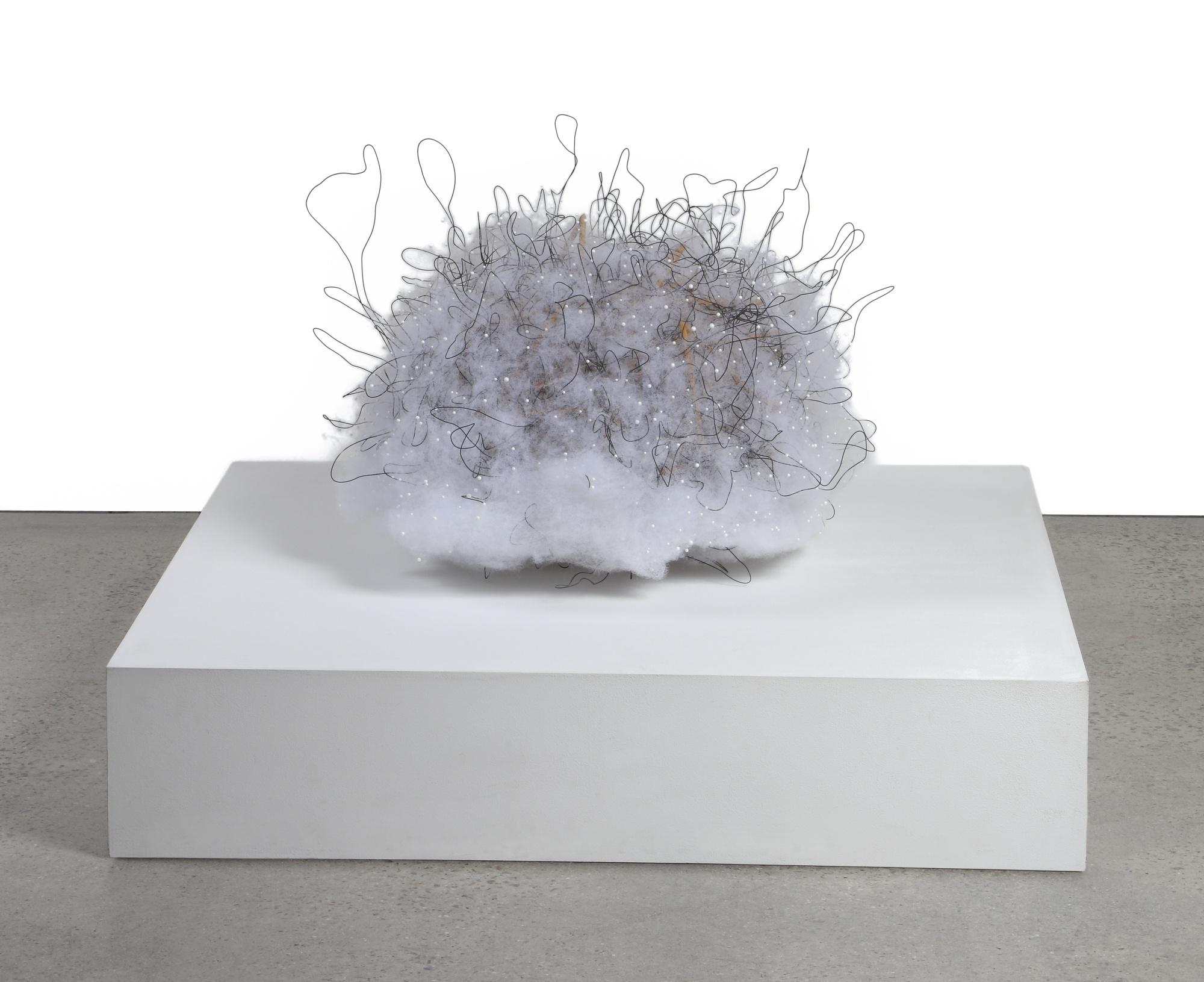 Tom Friedman - Brain