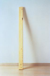 Tom Friedman - Two by Four