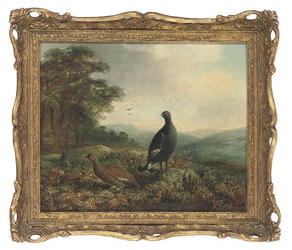 Tom Hold - A black grouse and hen in an extensive landscape