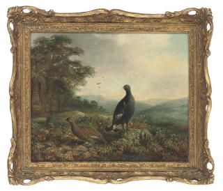Tom Hold - A black grouse and hen in an extensive landscape