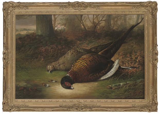 Tom Hold - A brace of pheasant in a woodland glade
