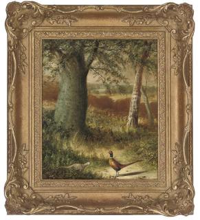 Tom Hold - A cock and hen pheasant at the edge of a wood