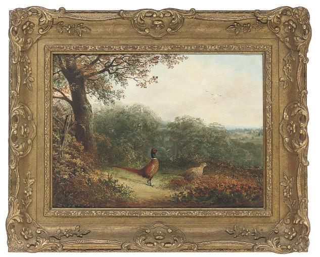 Tom Hold - A cock and hen pheasant on the edge of a wood