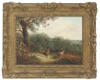 Tom Hold - A cock and hen pheasant on the edge of a wood