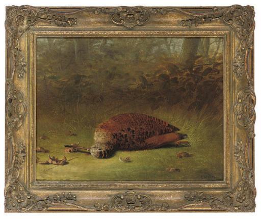 Tom Hold - A woodcock