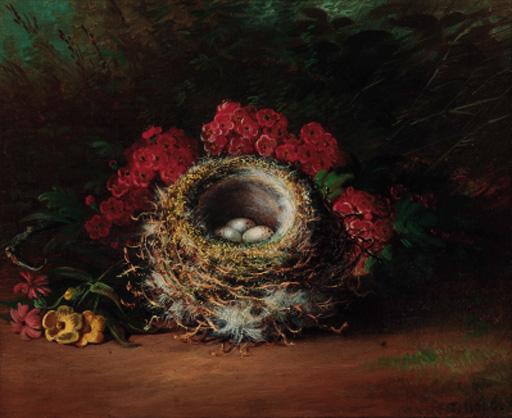 Tom Hold - Apple blossom, bird\'s nests and eggs on a mossy bank