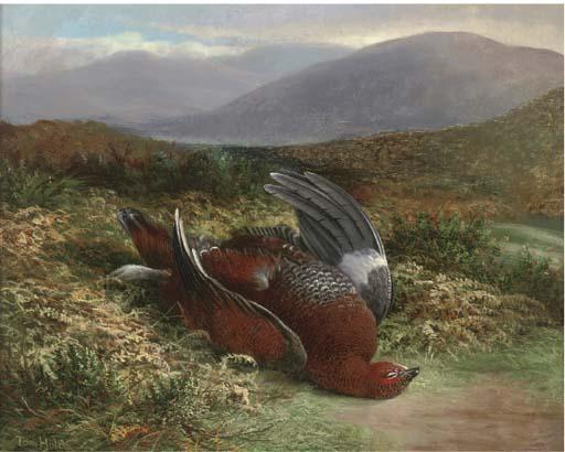 Tom Hold - Dead Grouse In A Landscape