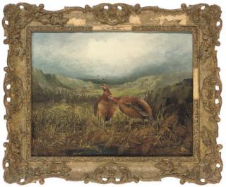 Tom Hold - Grouse in an extensive landscape