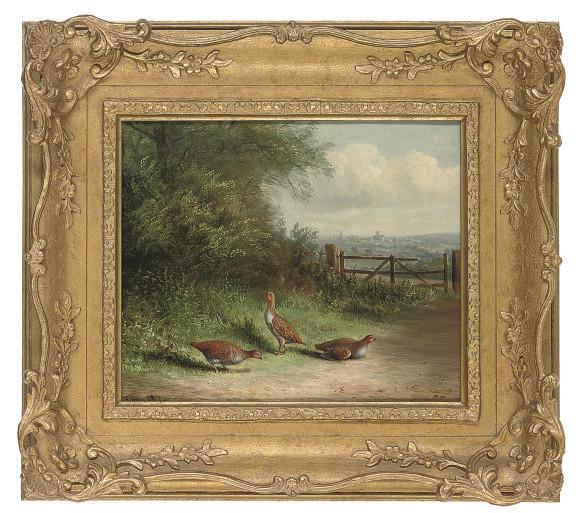 Tom Hold - Partridge on a country lane