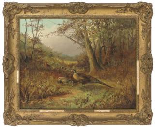 Tom Hold - Pheasants in bracken, autumn