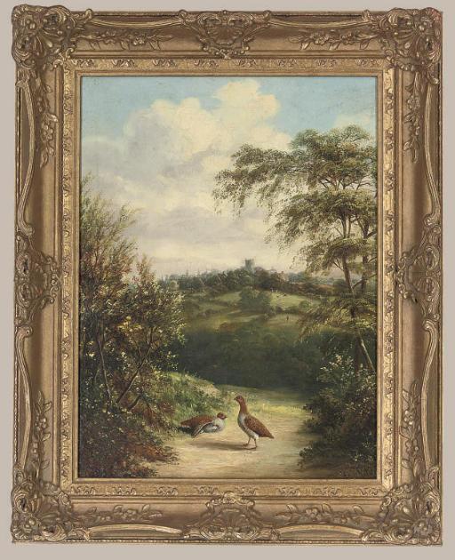 Tom Hold - Two partridge on a country path with a church beyond