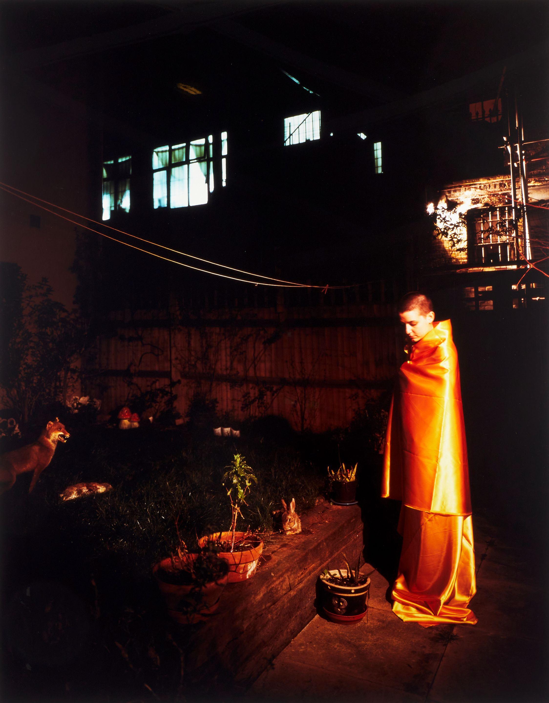 Tom Hunter - Bounding Buddhist Rushes to the Rescue of Neighbor\'s Pets