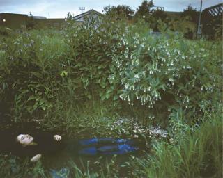 Tom Hunter - The Way Home