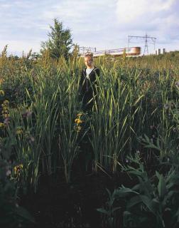 Tom Hunter - Thoughts of Life and Death