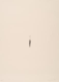 Tom Marioni - Finger line.