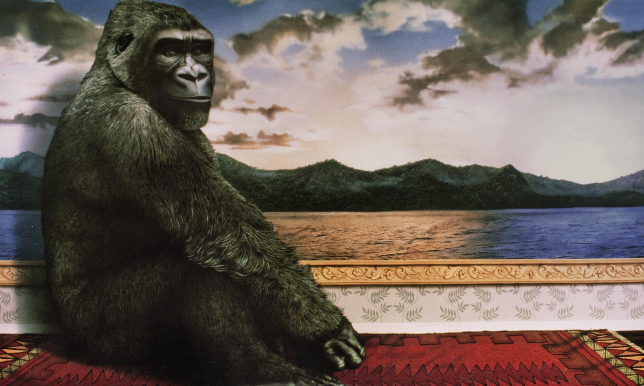 Tom Palmore - West in Front