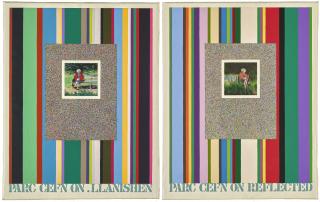 Tom Phillips, R.A. - Parc Cefn On. Llanishen - Parc Cefn On. Reflected