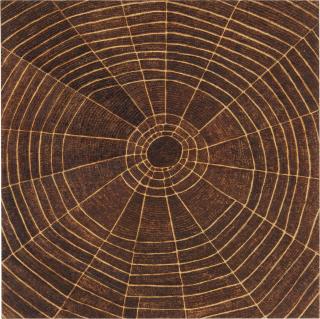 Tom Sachs - Untitled (Spider\'S Web Study #1)