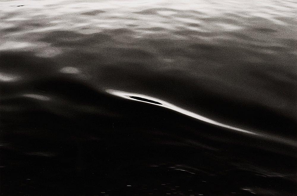 Tom Sandberg - Untitled, 1979.