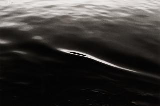 Tom Sandberg - Untitled, 1979.