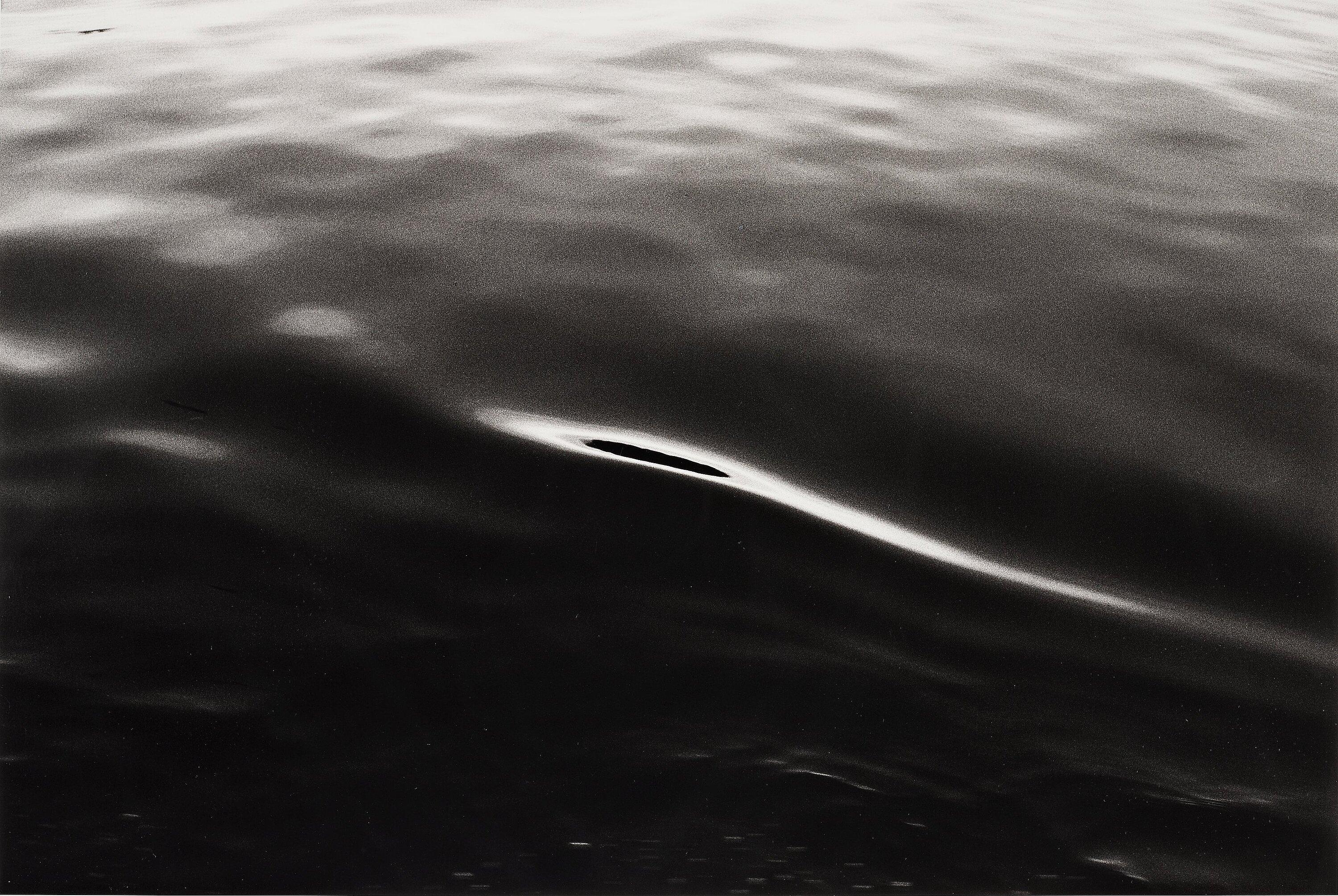 Tom Sandberg - Untitled, 1979.