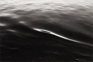 Tom Sandberg - Untitled, 1979.