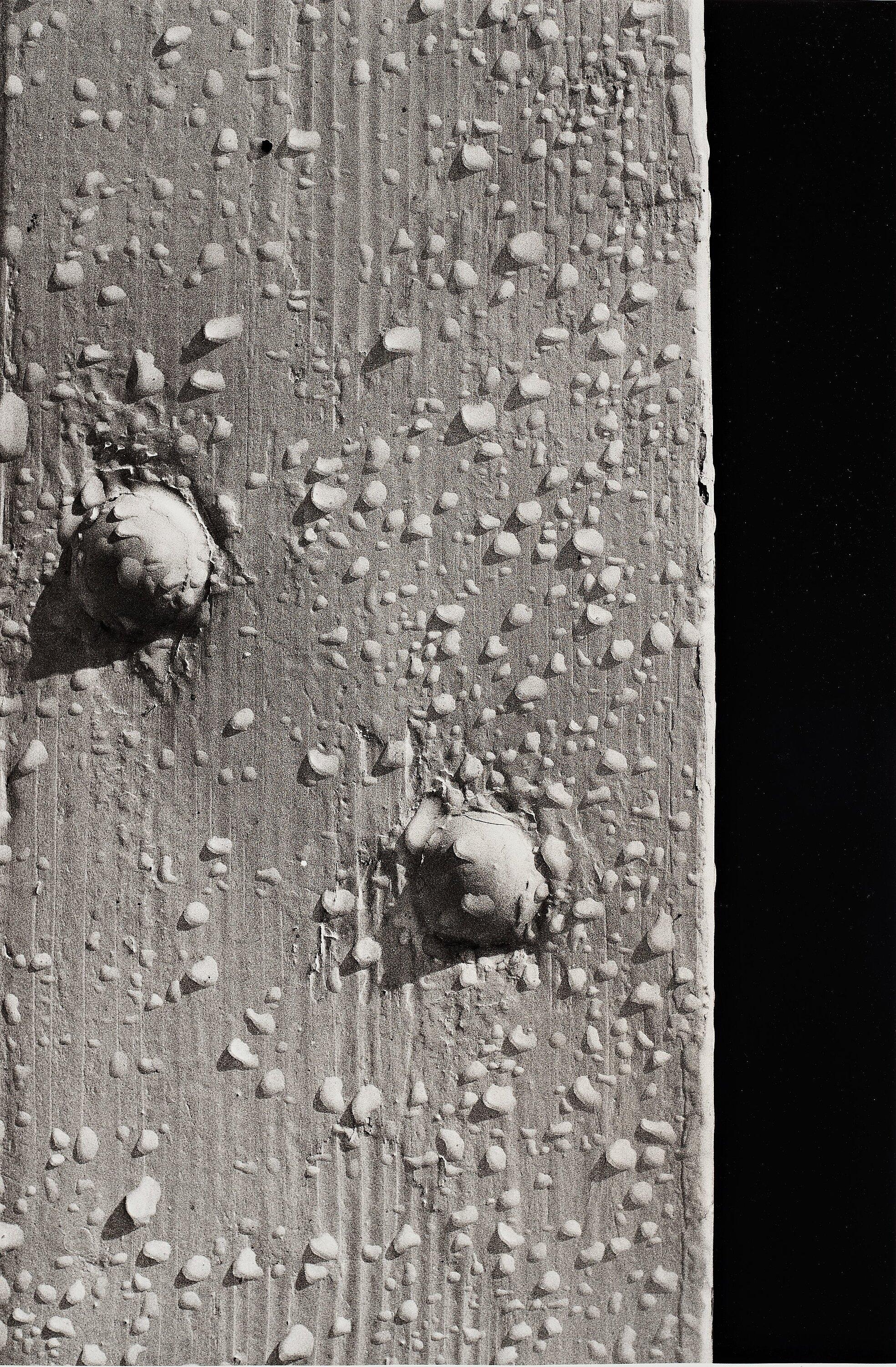 Tom Sandberg - Untitled, 1981