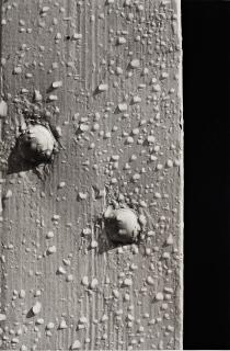 Tom Sandberg - Untitled, 1981