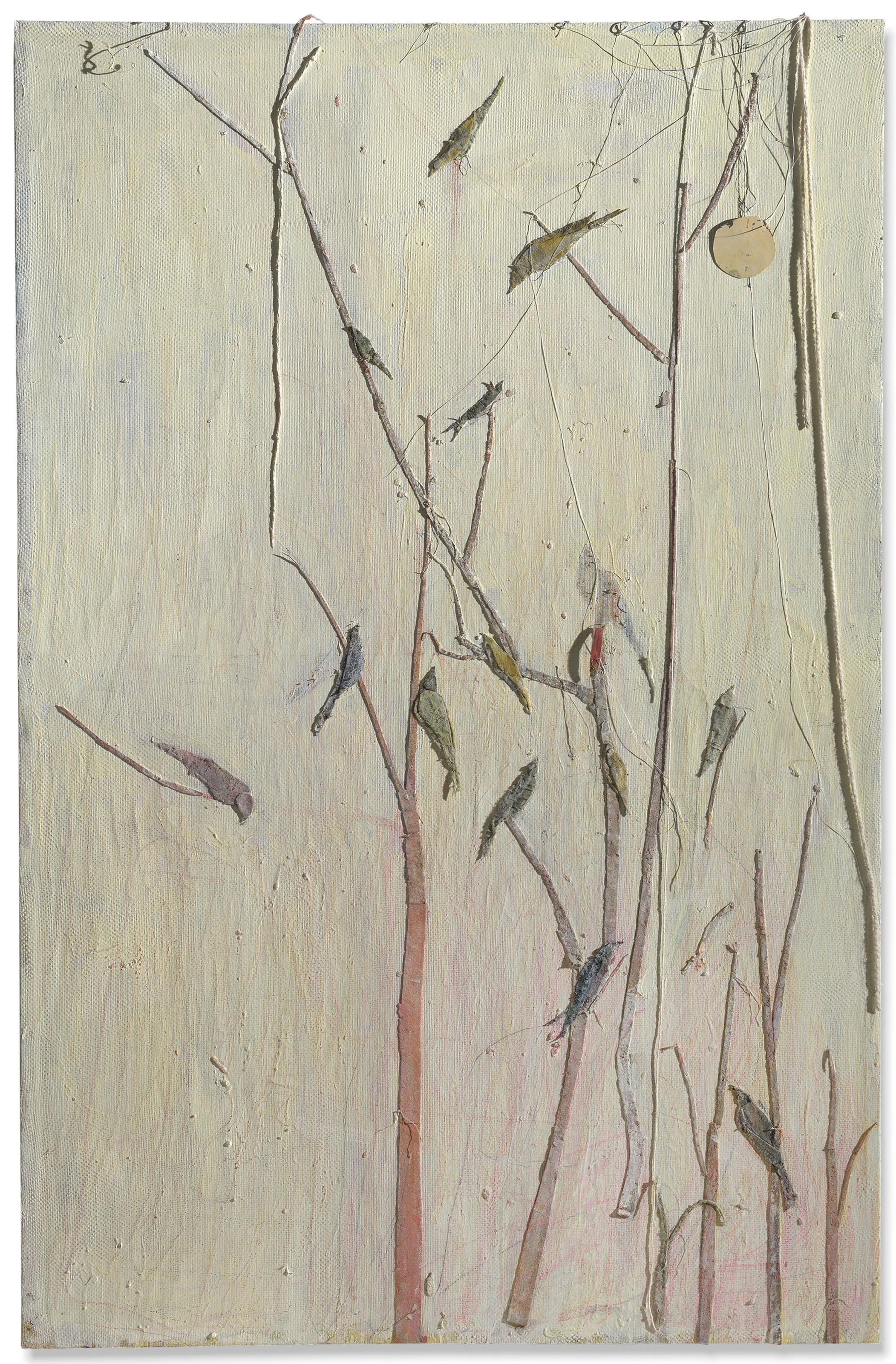 Tom Thayer - Callow Air\'s Veil