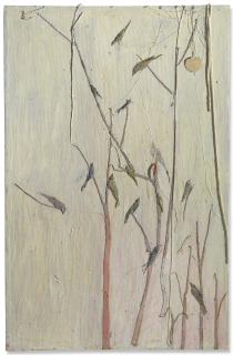 Tom Thayer - Callow Air\'s Veil