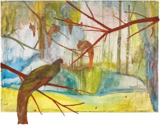 Tom Thayer - Stillness