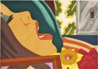 Tom Wesselmann - Bedroom Face